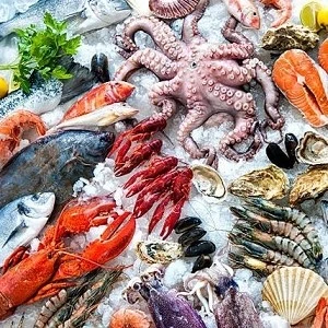 Frozen Seafood